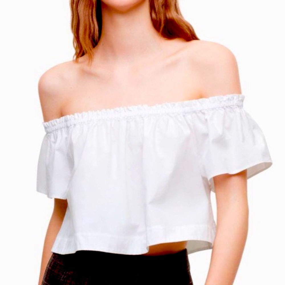 Aritzia Wilfred Off Shoulder Ruffle top